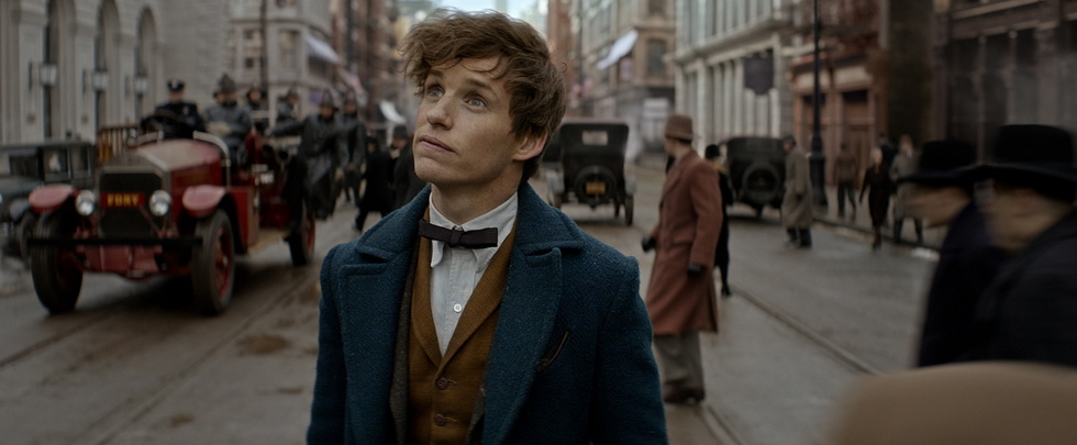 fantastic beasts and where to find them eddie redmayne