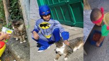 catman