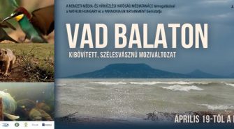 vad balaton 1