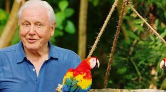 david attenborough 1