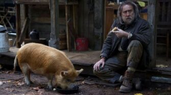 nic cage pig